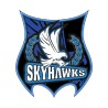 Patch Skyhawks
