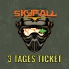 Skyfall 2024 3 Day Ticket (incl. Paint / First Strike)